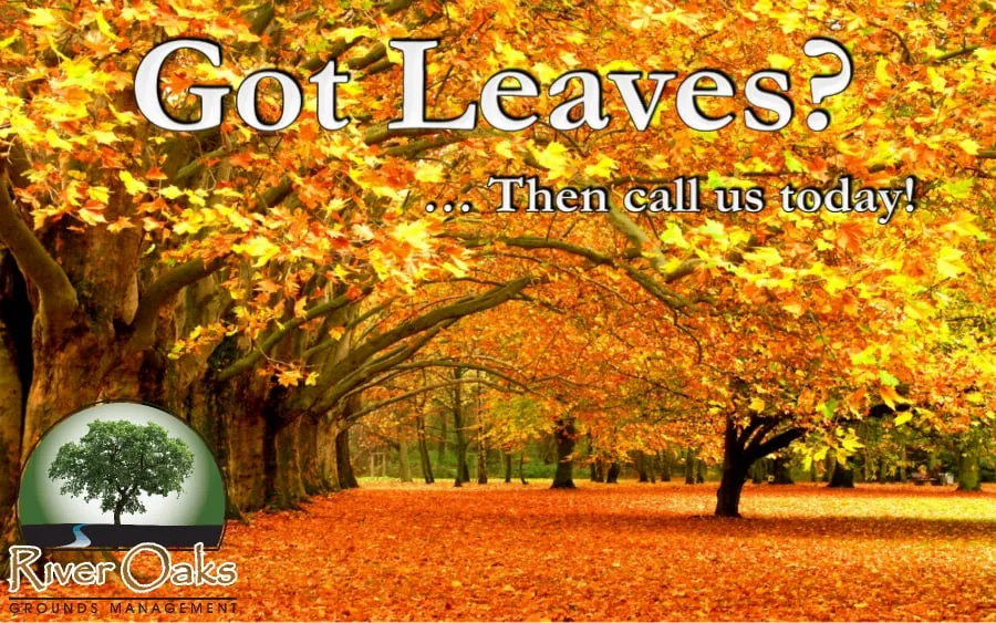 Expert landscape design in Richmond, VA by River Oaks Grounds Management