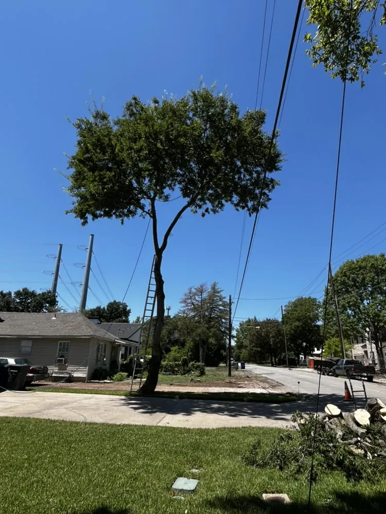 Trusted yard maintenance experts serving Garland, TX - River Oaks Landscaping