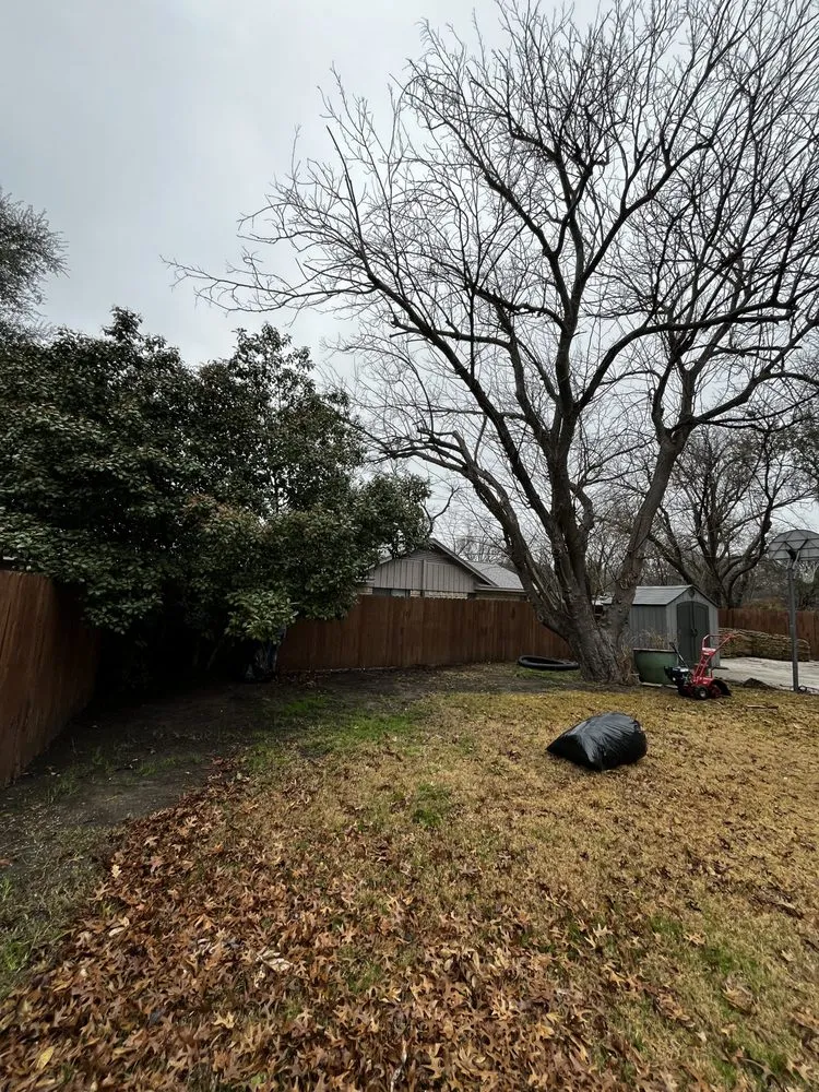 Trusted landscape design in Garland, TX - River Oaks Landscaping