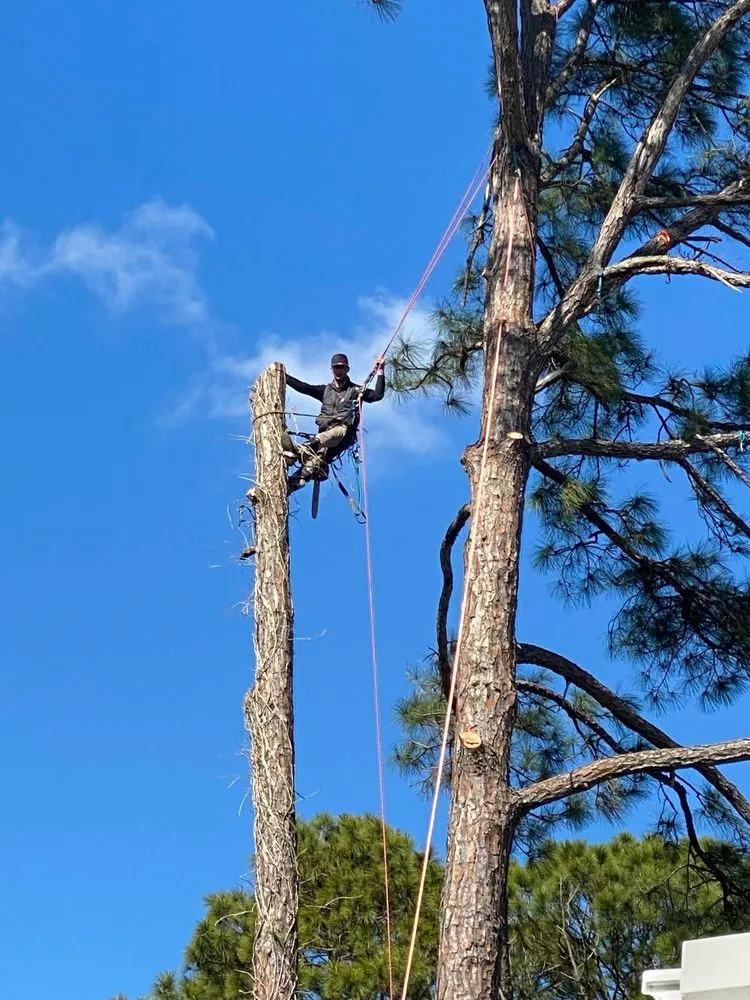 Top-rated yard maintenance experts serving Odenville, AL - River Oaks