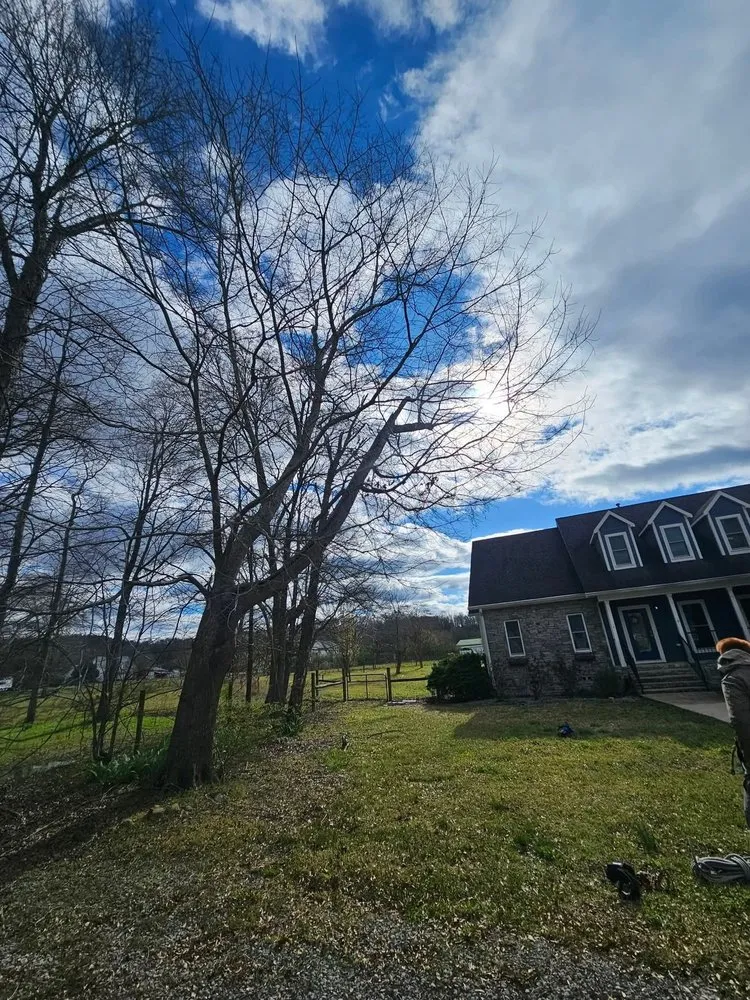 Trusted residential landscaping in Odenville, AL by River Oaks