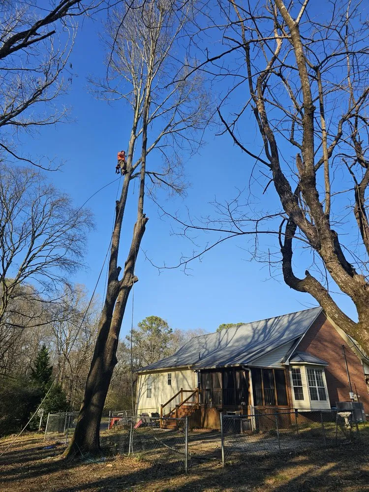 Trusted yard cleanup service in Odenville, AL - River Oaks