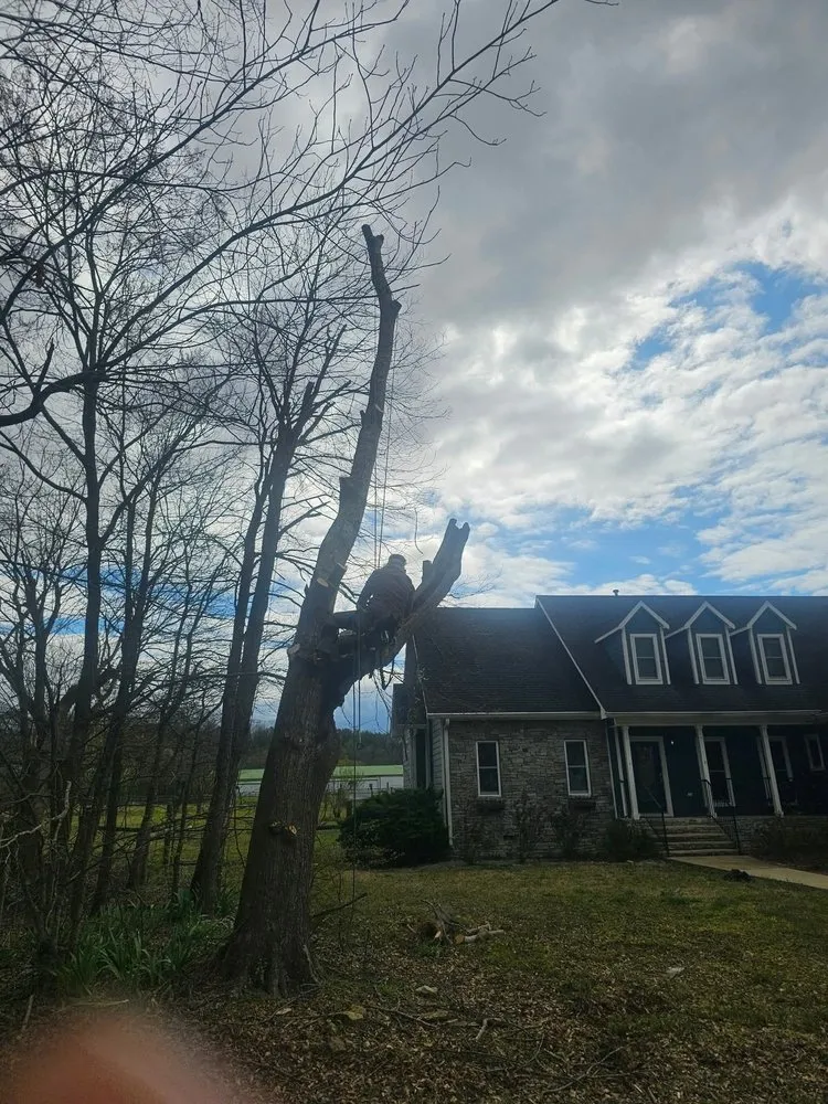 Expert garden landscaping in Odenville, AL - River Oaks