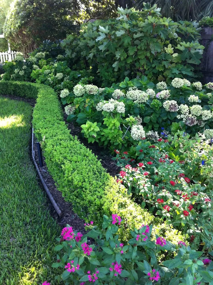 Affordable residential landscaping in Jacksonville, FL - River Oaks Outdoor