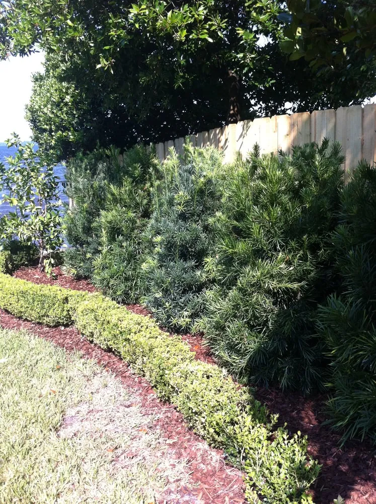 Reliable landscaping services for residential properties across Jacksonville, FL - River Oaks Outdoor