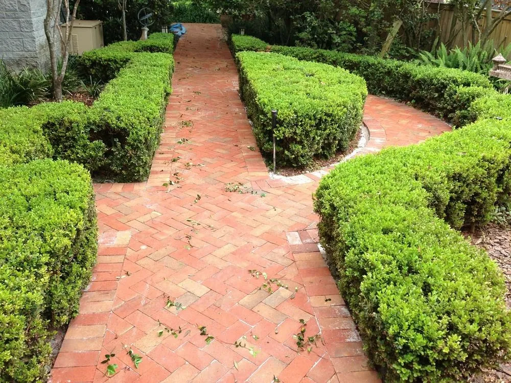 Trusted landscape installation in Jacksonville, FL by River Oaks Outdoor