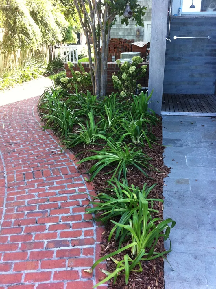 Professional landscape installation experts serving Jacksonville, FL - River Oaks Outdoor