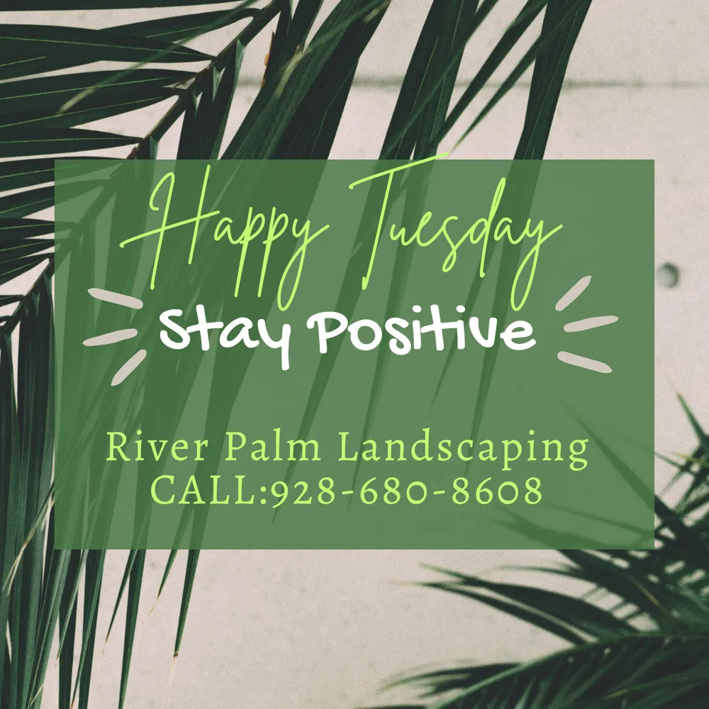 Custom landscaping services in Lake Havasu City, AZ - River Palm Landscaping