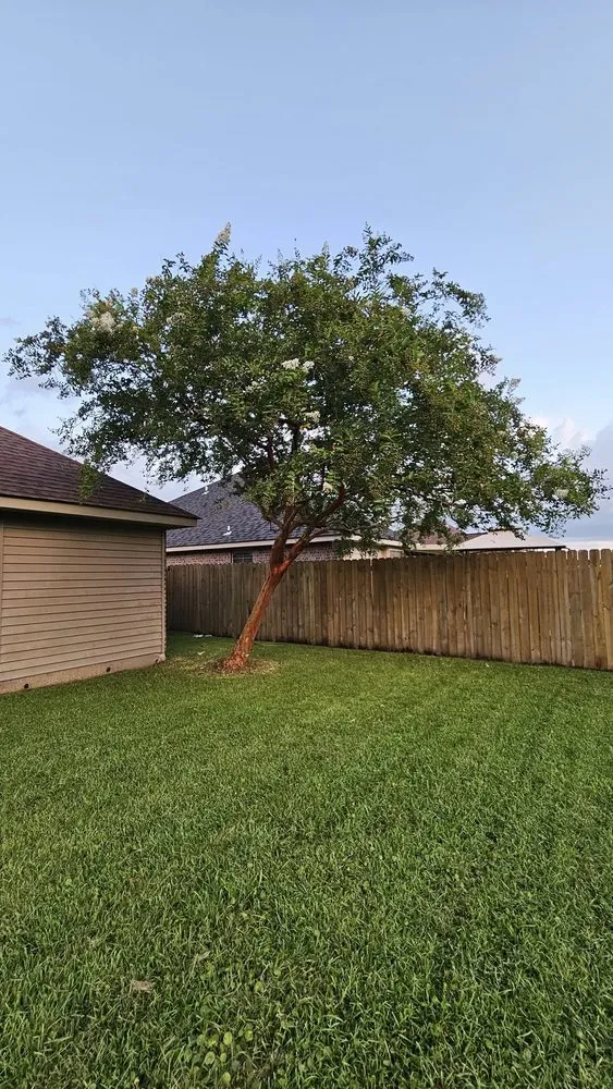 Reliable yard cleanup service in Laplace, LA - River Parish Lawn & Landscape