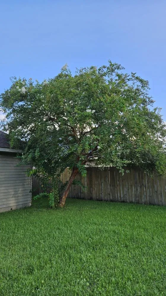 Local yard maintenance experts serving Laplace, LA - River Parish Lawn & Landscape