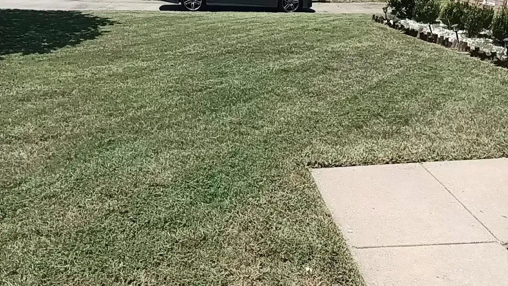 Professional yard maintenance experts serving Montgomery, AL - River Region Lawn Patrol