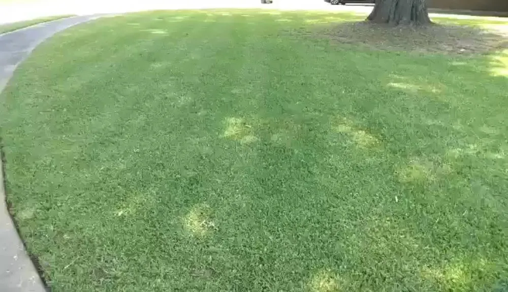 Affordable landscaping services in Montgomery, AL - River Region Lawn Patrol