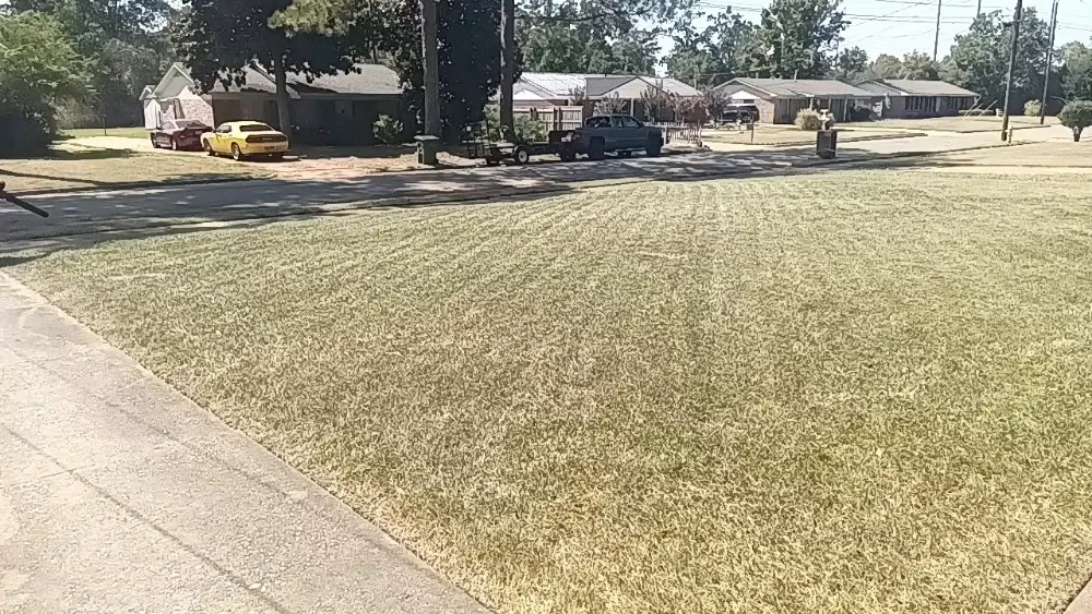 Expert lawn care service experts serving Montgomery, AL - River Region Lawn Patrol