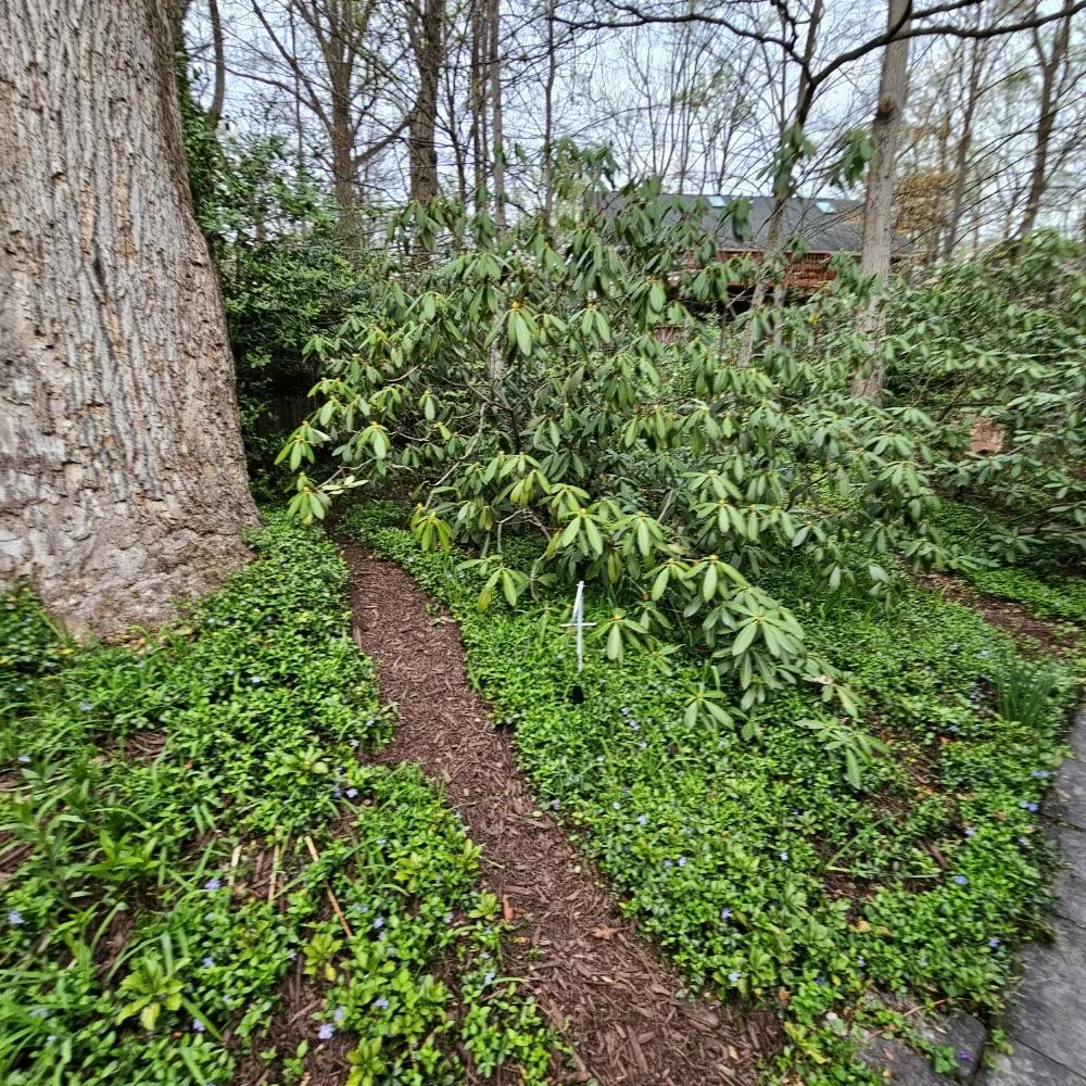 Local outdoor landscaping with custom design in Potomac, MD by River Road Landscaping