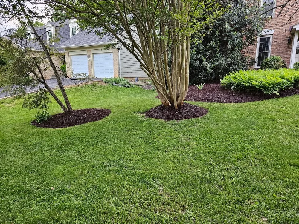 Expert yard maintenance for year-round maintenance in Potomac, MD by River Road Landscaping