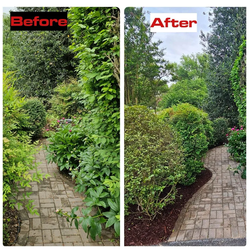 Custom landscape installation for residential properties across Potomac, MD - River Road Landscaping