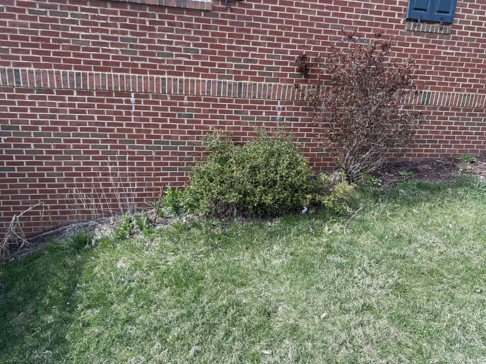 Affordable lawn care service in Potomac, MD by River Road Landscaping