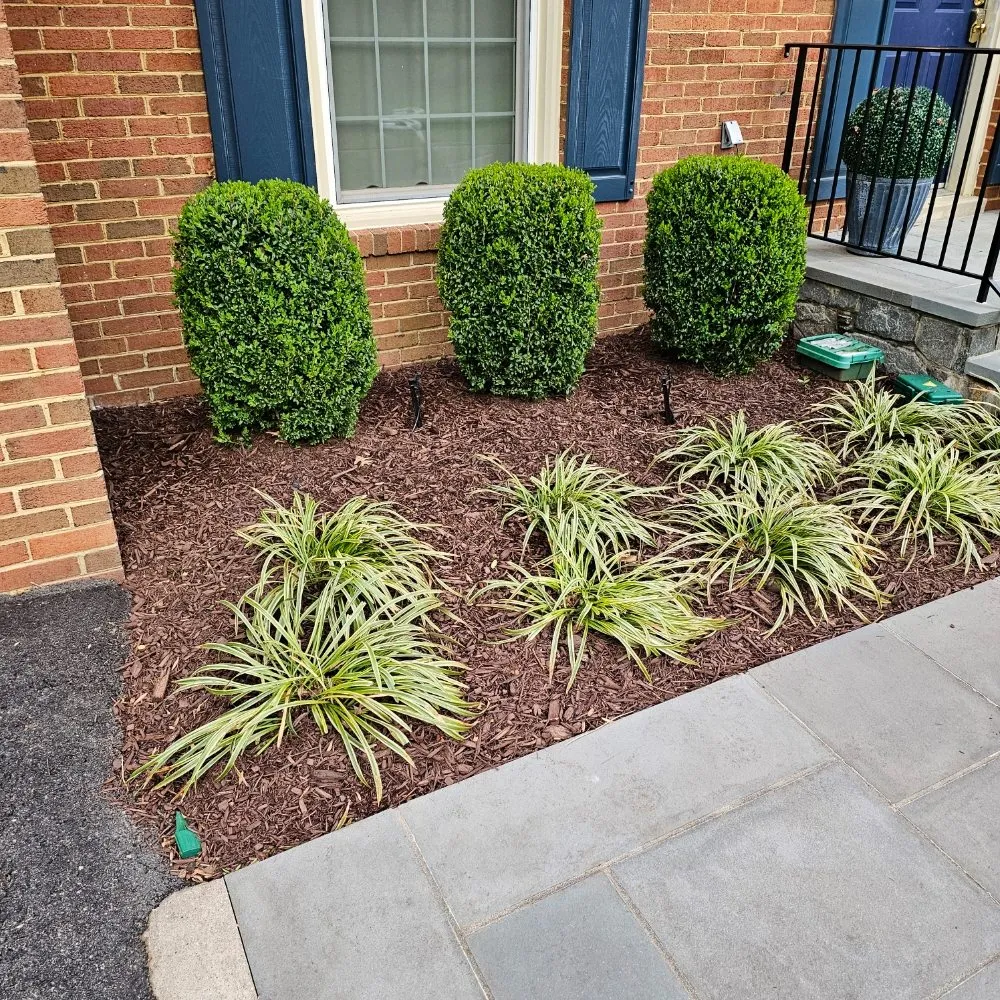 Trusted lawn mowing service for year-round maintenance across Potomac, MD - River Road Landscaping