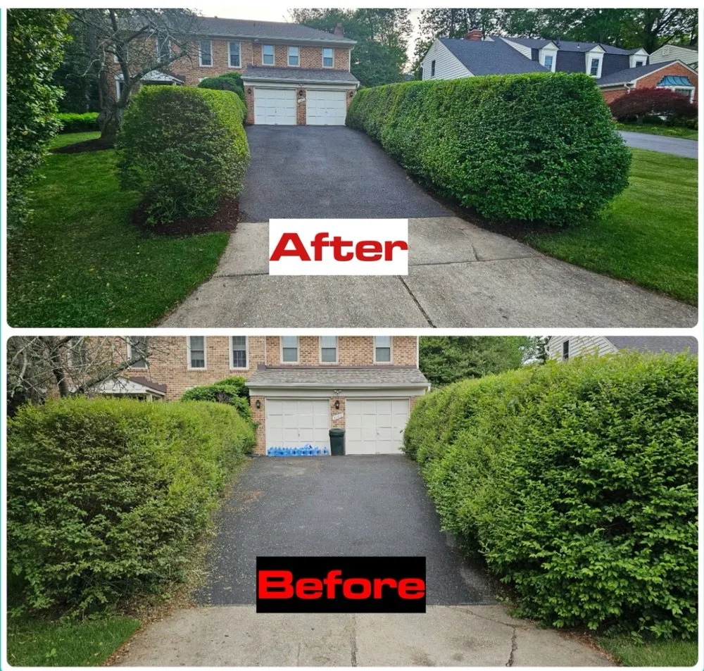 Local lawn mowing service in Potomac, MD - River Road Landscaping