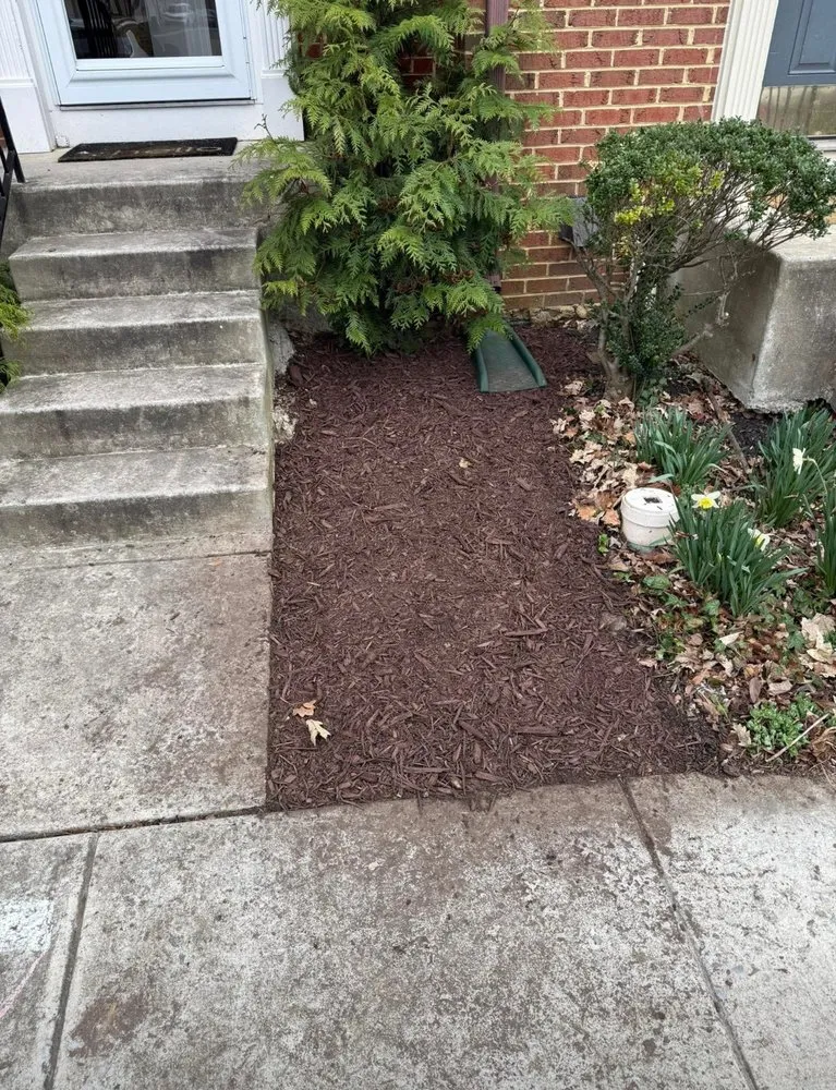 Professional lawn care service in Potomac, MD - River Road Landscaping