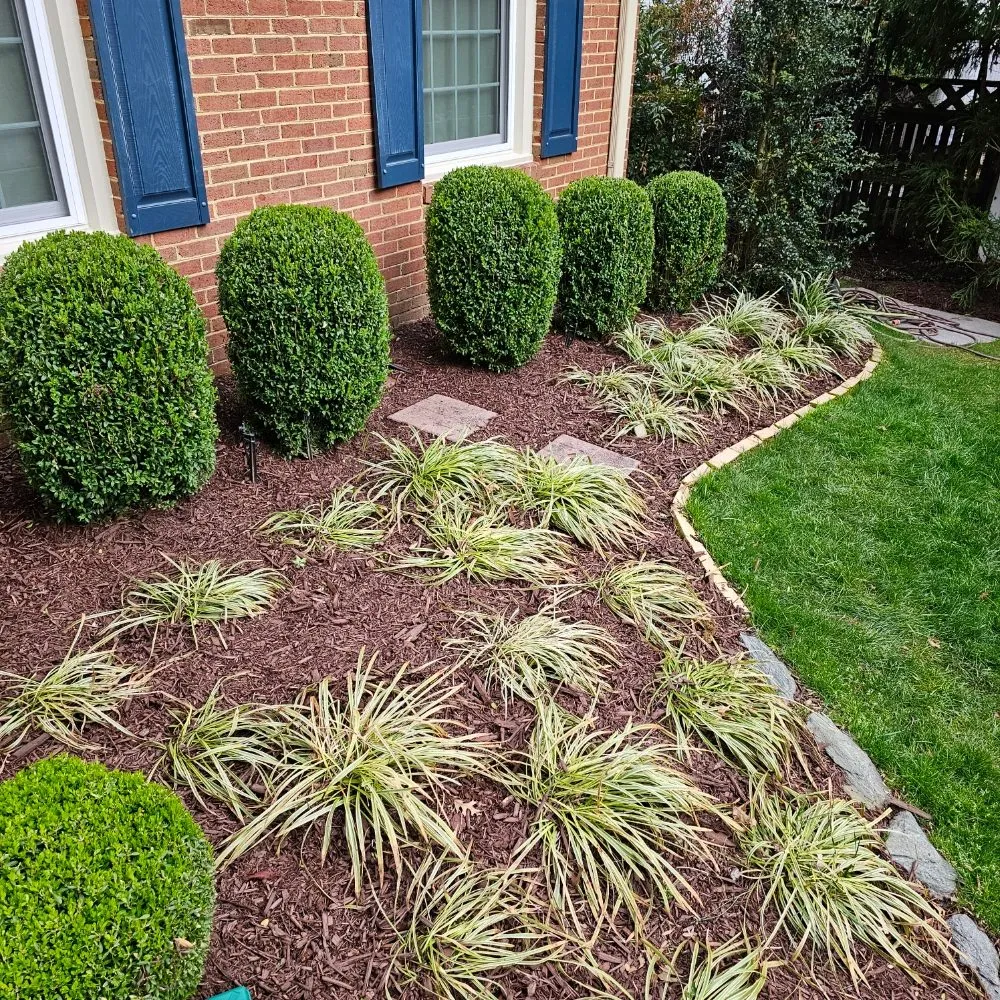 Local yard maintenance in Potomac, MD by River Road Landscaping