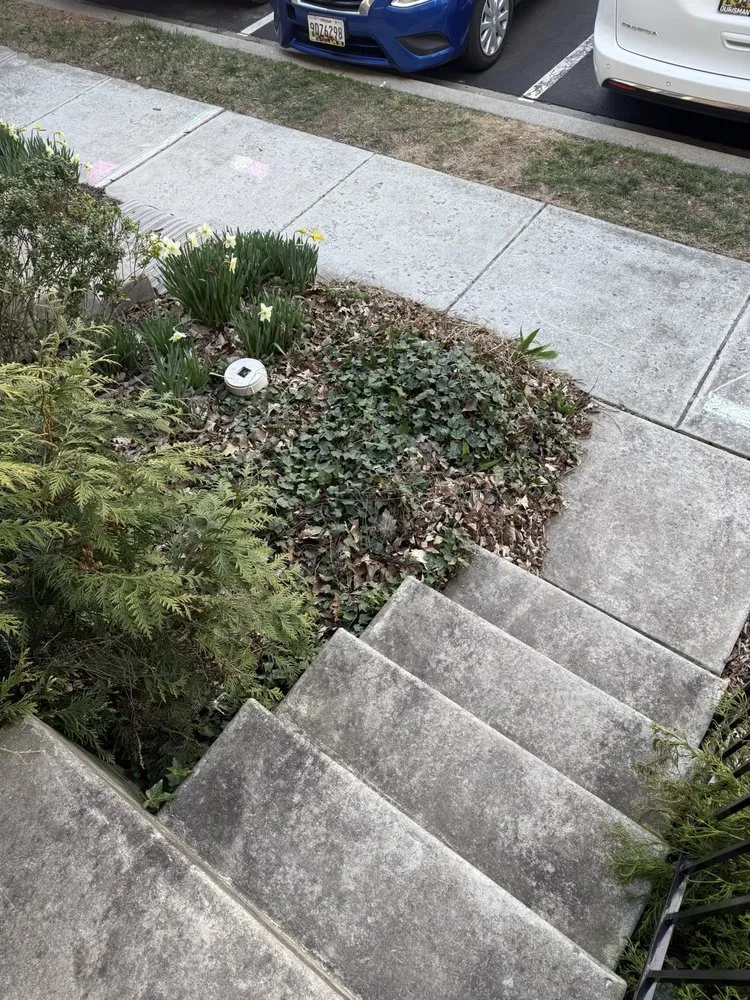 Affordable garden landscaping experts serving Potomac, MD - River Road Landscaping