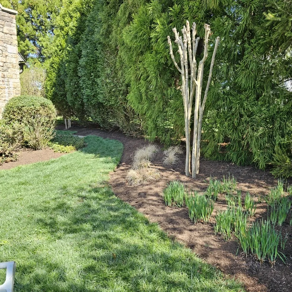 Trusted landscaping services in Potomac, MD - River Road Landscaping