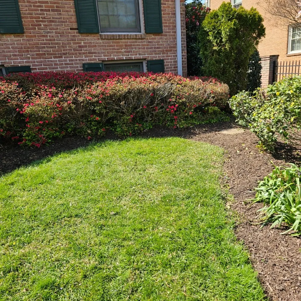 Custom yard maintenance for residential properties in Potomac, MD by River Road Landscaping