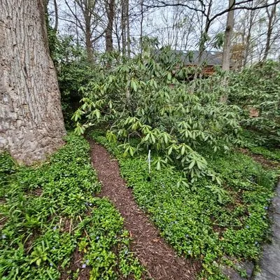 River Road Landscaping