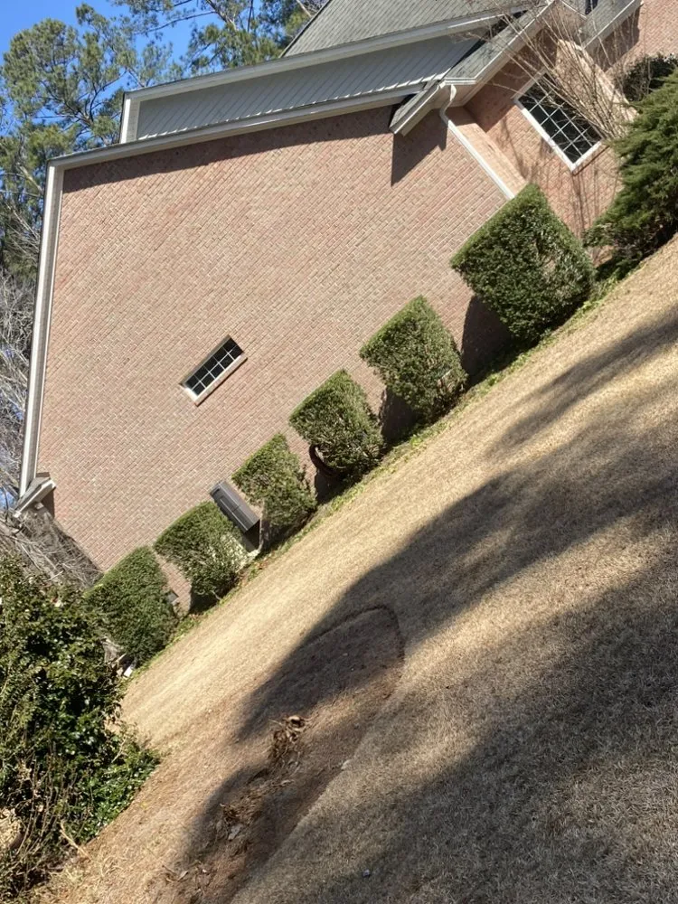 Custom residential landscaping for beautiful yards in New Bern, NC by River Road Lawn Care