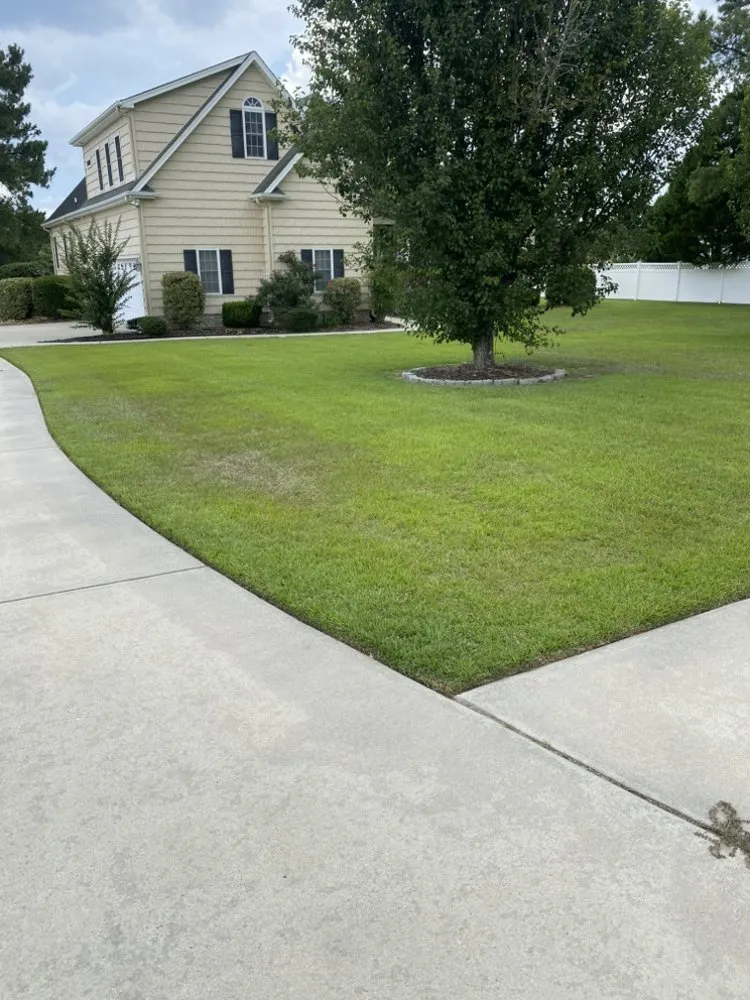 Affordable landscaping services experts serving New Bern, NC - River Road Lawn Care
