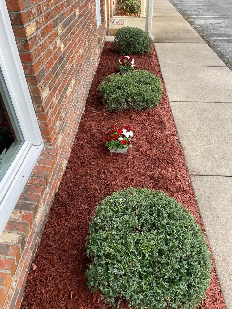 Top-rated outdoor landscaping in New Bern, NC by River Road Lawn Care