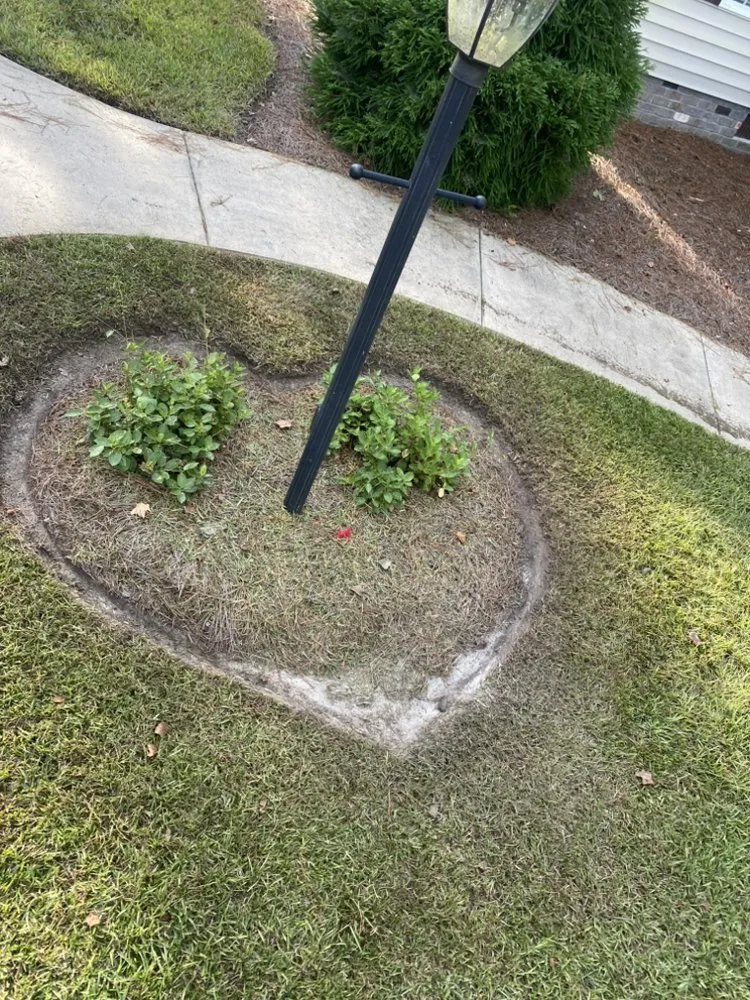 Professional yard cleanup service for residential properties in New Bern, NC by River Road Lawn Care