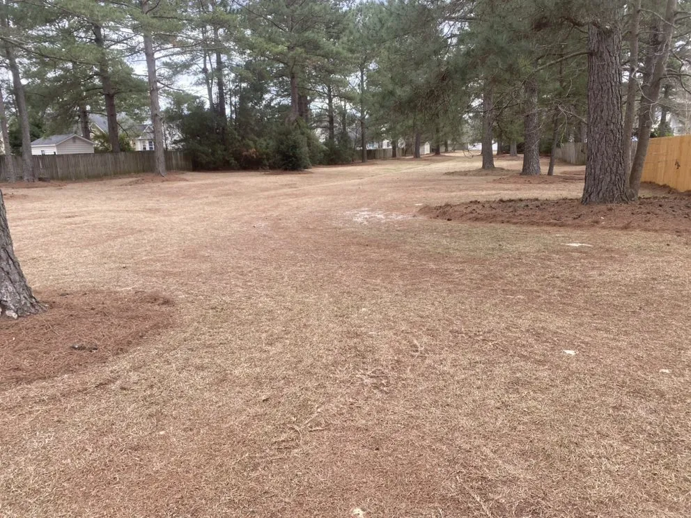 Custom lawn mowing service in New Bern, NC by River Road Lawn Care