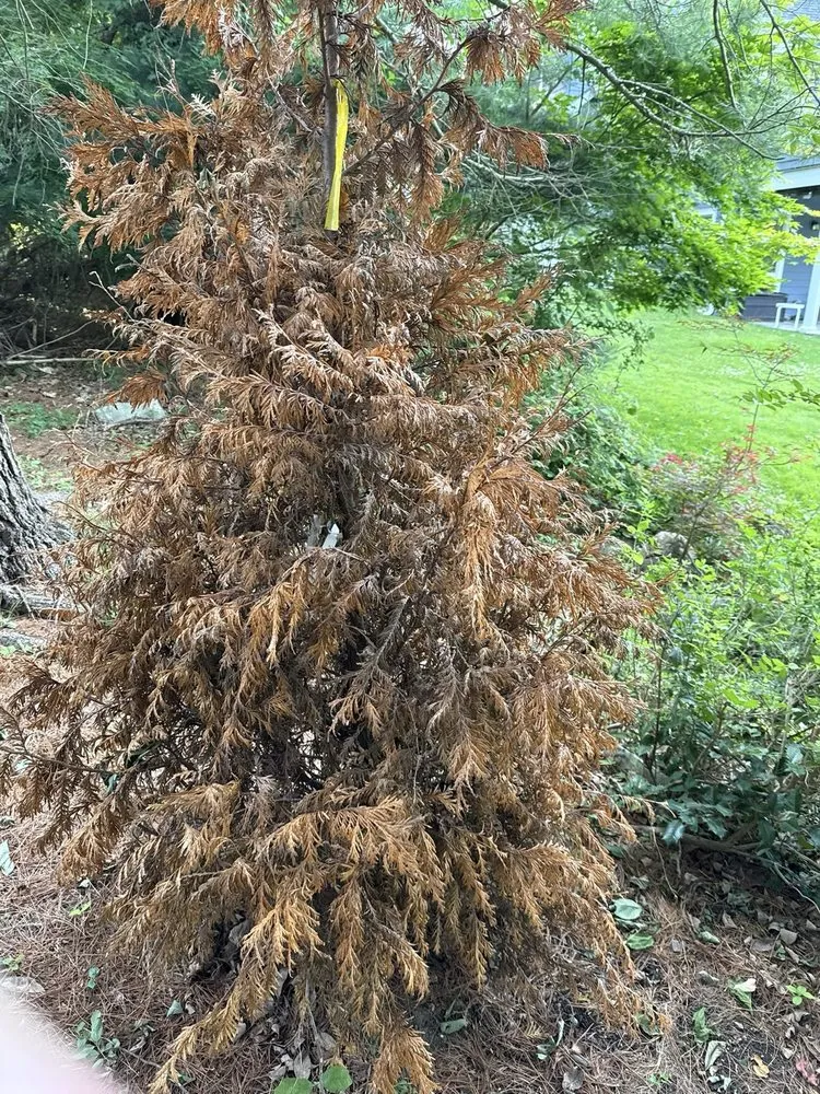 Local residential landscaping for homes in Willimantic, CT by River Rock Landscaping And Construction