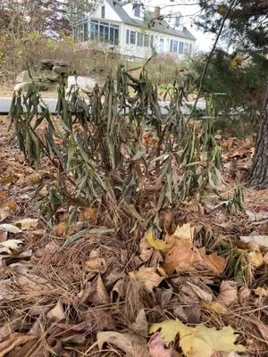 River Rock Landscaping And Construction