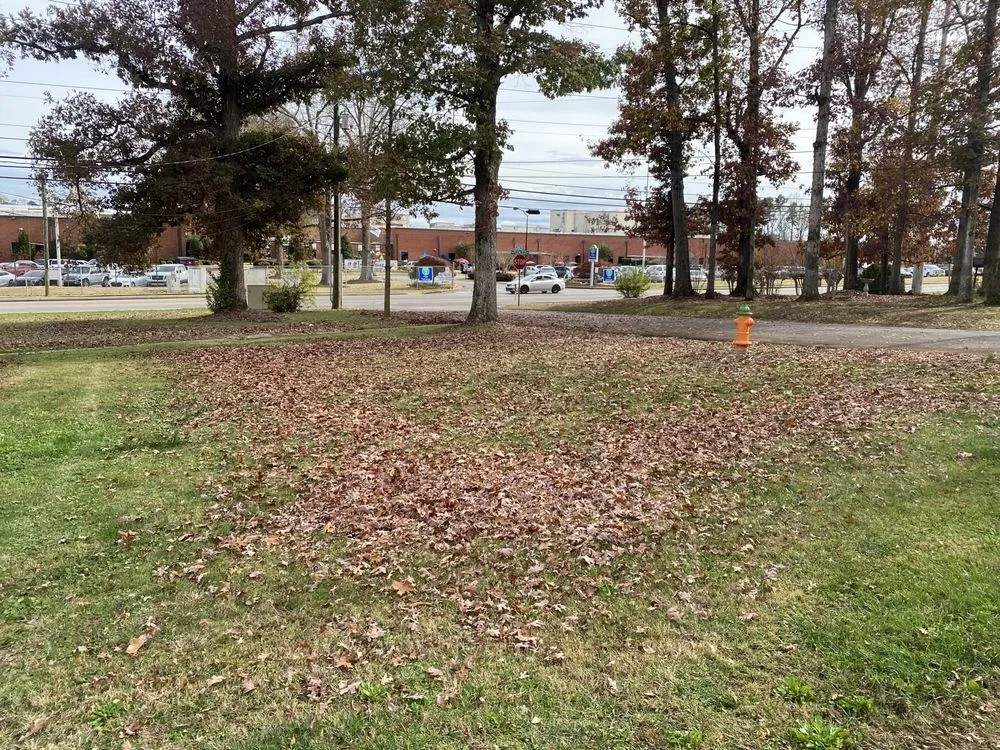 Top-rated landscape design in Cleveland, TN - River Rock Landscaping