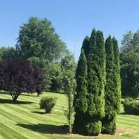 Custom lawn care service experts serving Eldersburg, MD - River Rock Landscaping