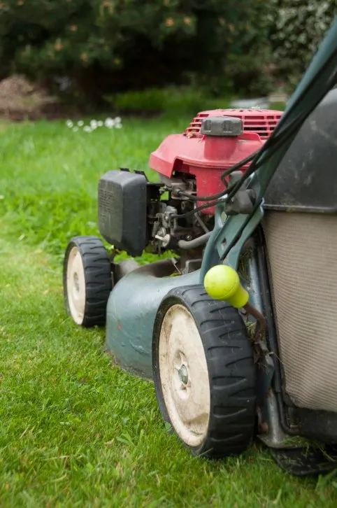 Professional garden landscaping near you across Fresno, CA - River Rock Landscaping