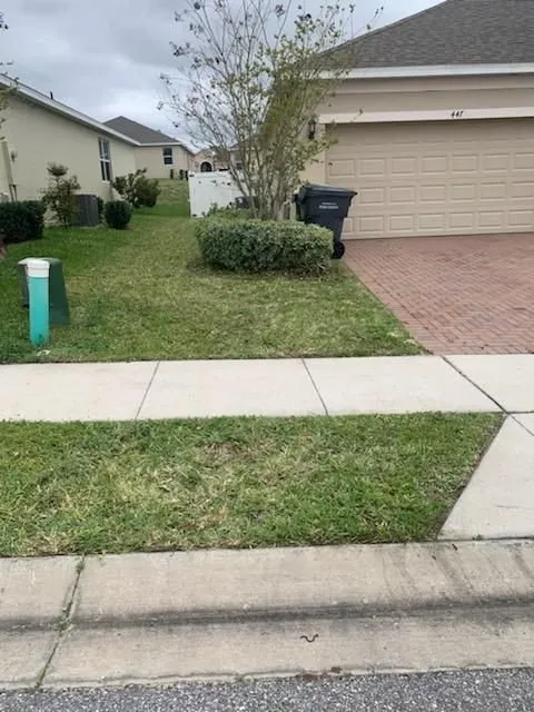 Trusted yard cleanup service near you across Haines City, FL - River Rock Landscaping