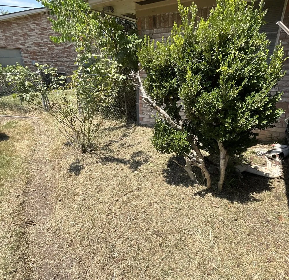 Trusted yard maintenance near you in Navasota, TX by River Rock Landscaping