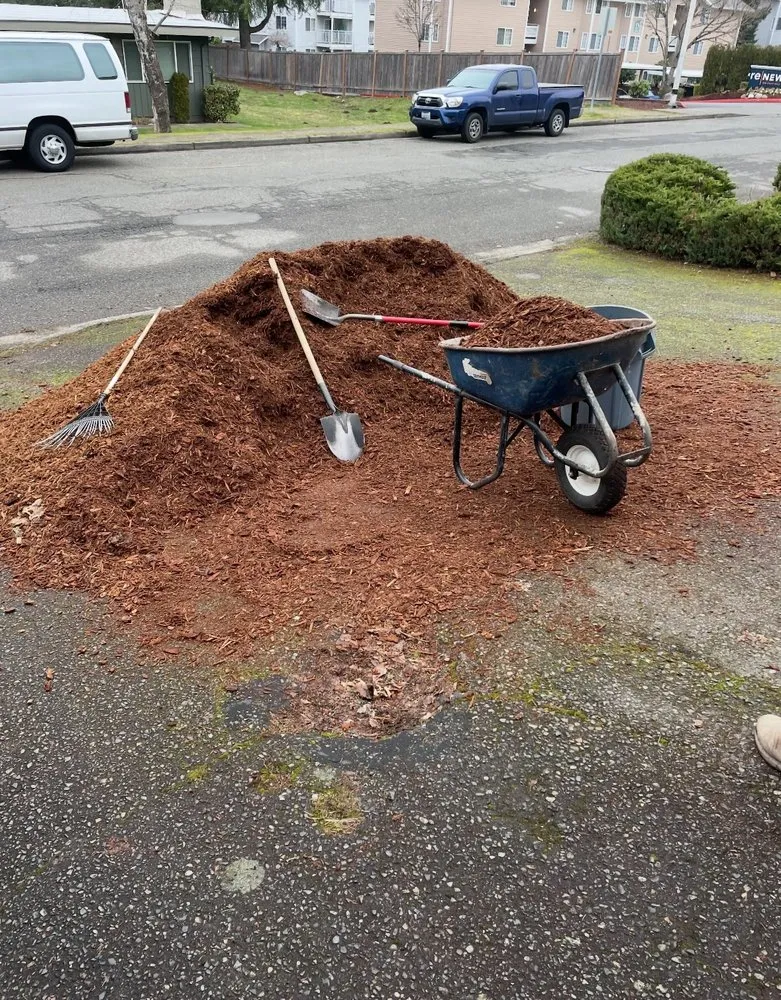 Professional yard maintenance experts serving Tacoma, WA - River Rock Landscaping Services