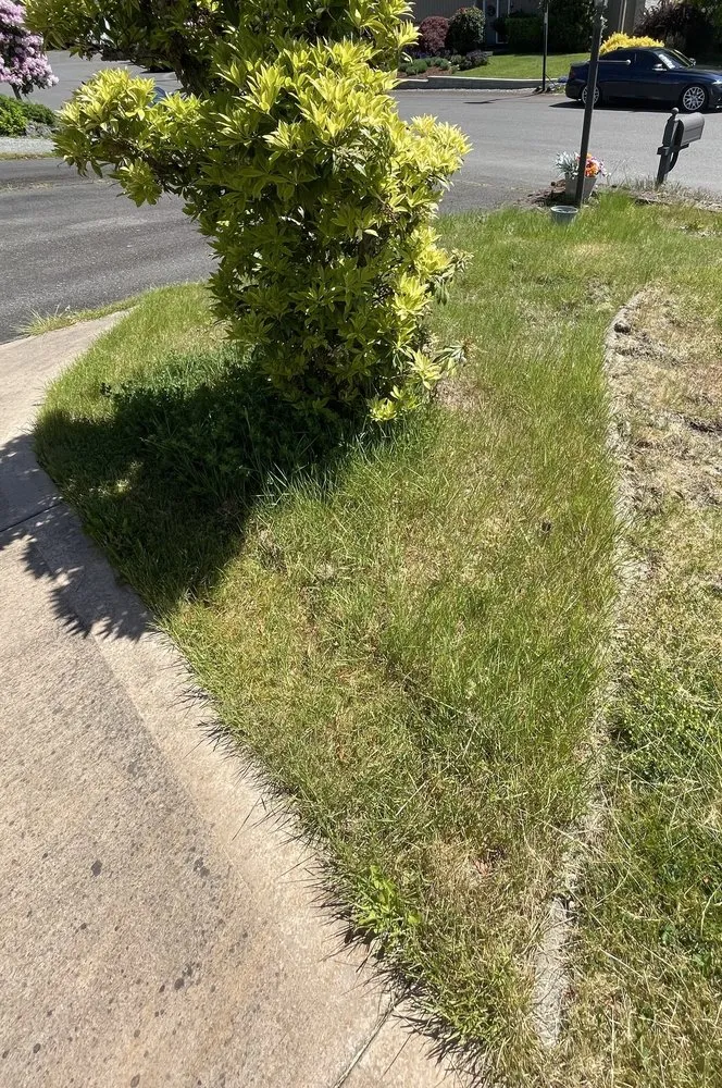 Local landscape installation for outdoor upgrades in Tacoma, WA by River Rock Landscaping Services
