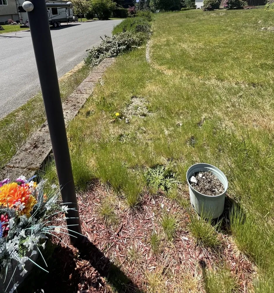 Expert landscaping services for outdoor upgrades in Tacoma, WA by River Rock Landscaping Services