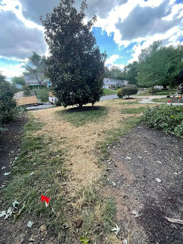 Expert yard maintenance in Sterling, VA - River Rock Landscaping