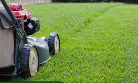 Affordable lawn care service experts serving Austin, TX - River Rock Lawn and Landscaping
