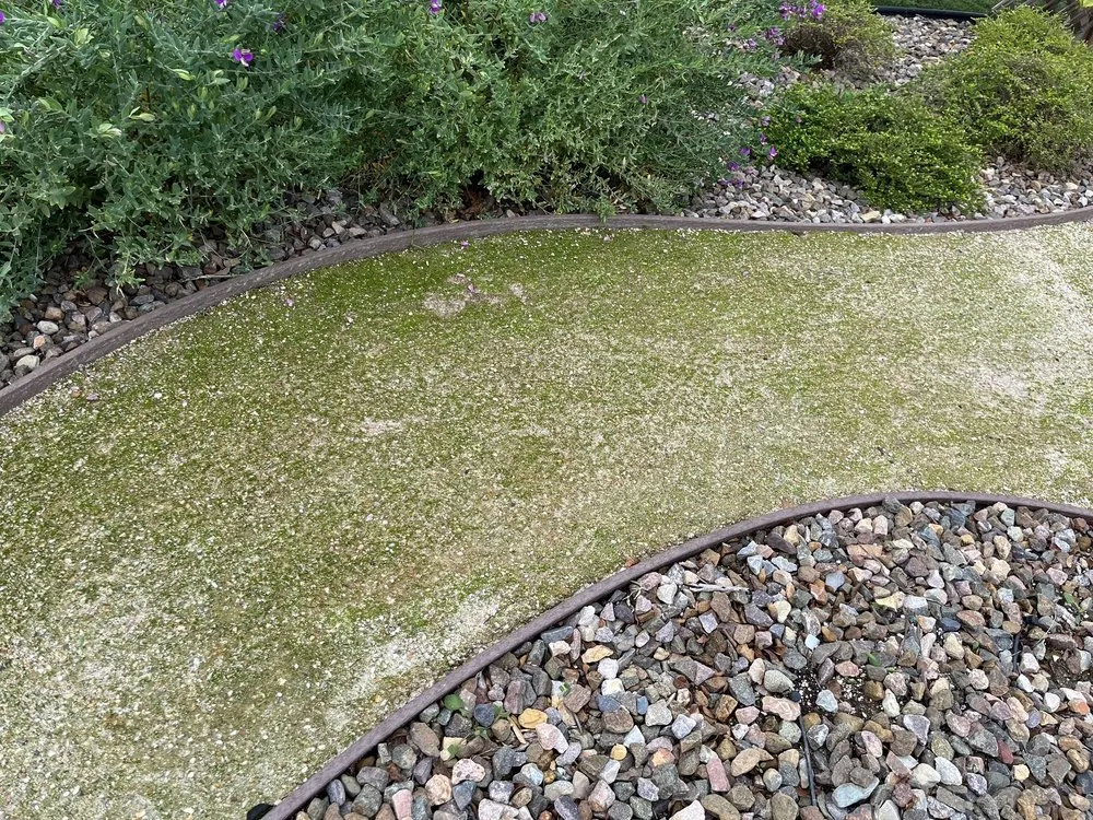 Professional lawn mowing service experts serving Escondido, CA - River Rock Outscape
