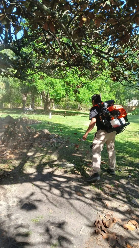 Reliable lawn care service in Carriere, MS - River Rose Lawncare