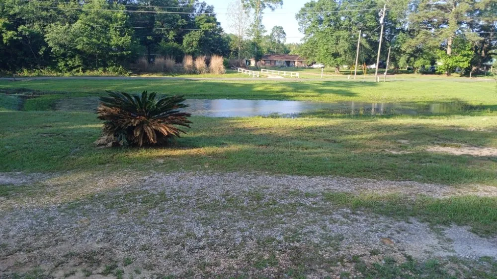 Expert lawn mowing service experts serving Carriere, MS - River Rose Lawncare