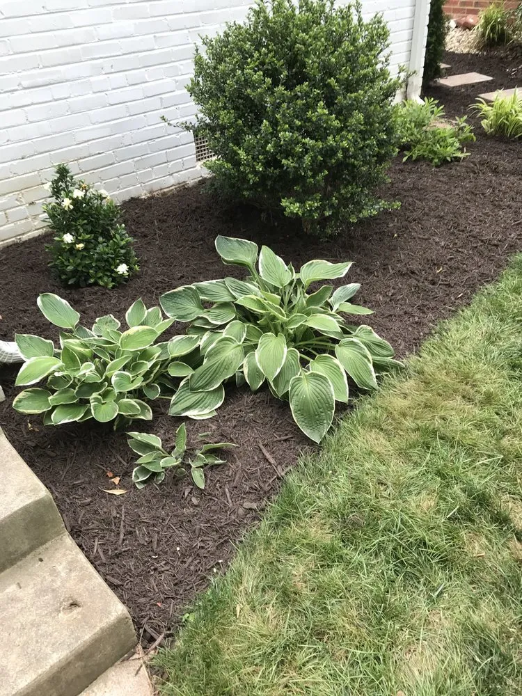 Top-rated outdoor landscaping for homes in Chesterfield, VA by River Run Lawn And Home